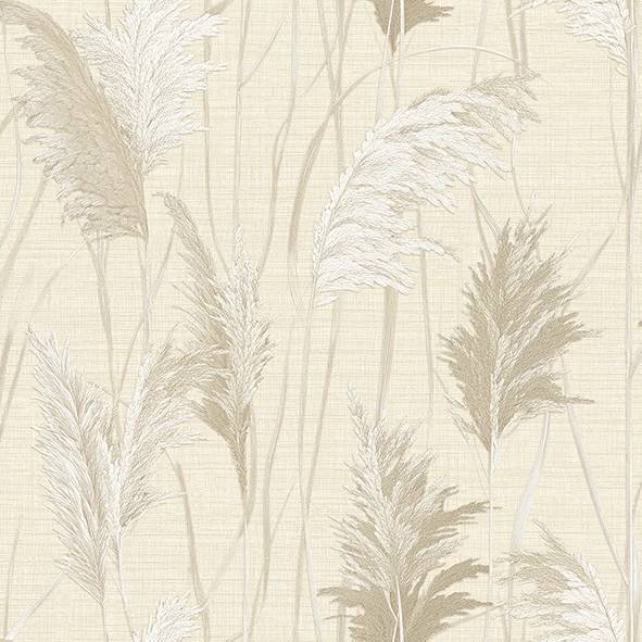 Обои Alessandro Allori Giorgio 1009-2