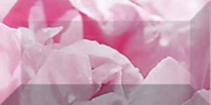 Бордюр Ceramica Classic Peony br1020D281-2 20x10