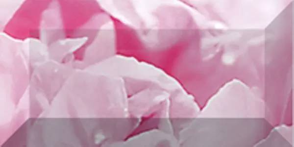 Бордюр Ceramica Classic Peony br1020D281-2 20x10