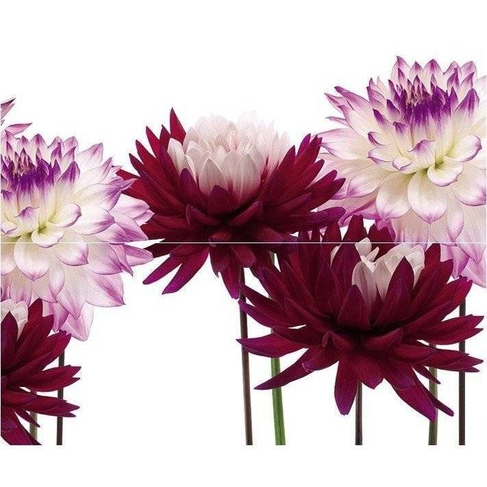 Панно Cerrol Porto Matiz A 50x60