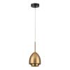 Подвесной светильник Lumion Moderni Avrora 8001/1A