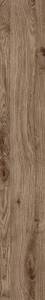 SPC Ламинат Creto ElegantWood 5/43 4V CR1122-6 Дуб натуральный Сибирский 1220x183