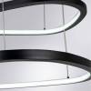 Подвесной светодиодный светильник Arte Lamp Madison A2194SP-2BK фото 2