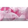 Бордюр Ceramica Classic Peony br1020D281-2 10x20