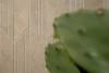 Керамогранит FAP Ceramiche Vento del Sud fTDR Beige Matt R9 80x80 фото 5