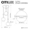 Подвесной светильник Citilux Nort CL475023 фото 5