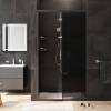 Душевая дверь в нишу AM.PM Gem Solo W90G-110-1-195BG 110 см фото 2