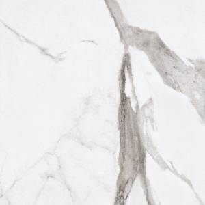 Керамогранит Ariana Epoque PF60004977 White Statuario Lap 60x60