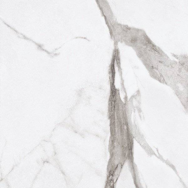 Керамогранит Ariana Epoque PF60004977 White Statuario Lap 60x60