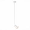 Подвесной светильник ST Luce Sormano SL1206.503.01