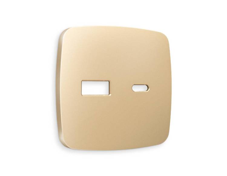 Лицевая панель для розетки 2USB A+C Ambrella Volt Omega OP6110