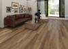 SPC Ламинат Respect Floor 5/43 4V 8307 Дуб Элитный 1220x182 фото 2