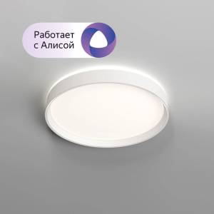 Потолочный светильник Denkirs Plato DK6511-WH/1