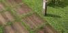 Керамогранит Marazzi Italy TreverkHome MJWH Quercia 20x120 фото 6