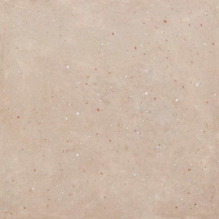 Керамогранит ABK Moooi Nesting Room PF60021294 Egg Scape Powder Nat 60x60