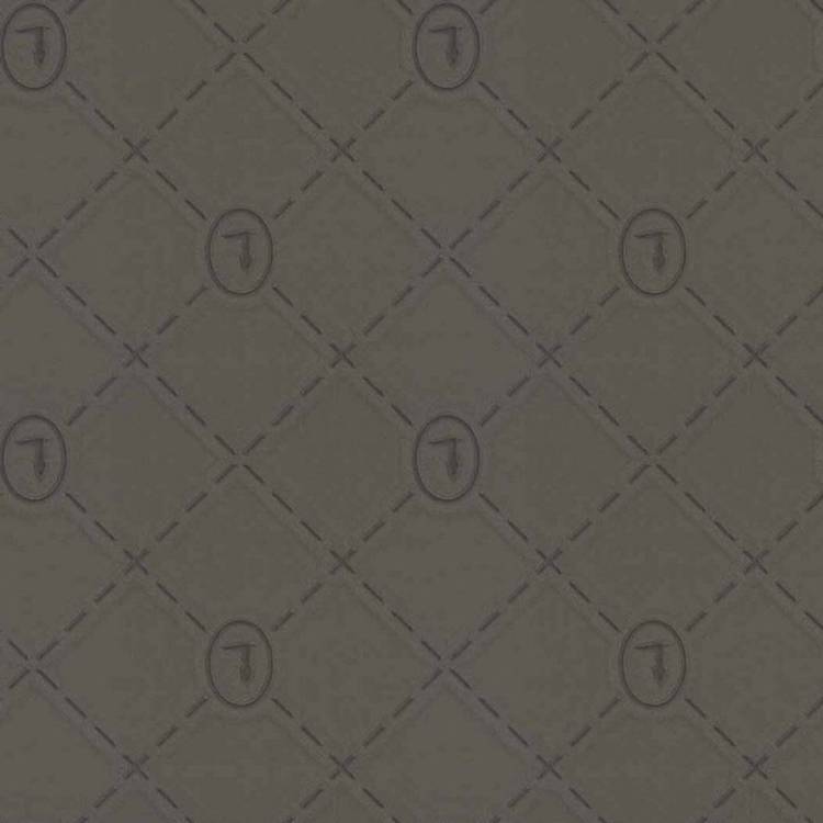 Обои Zambaiti Parati Trussardi 5 Z21859