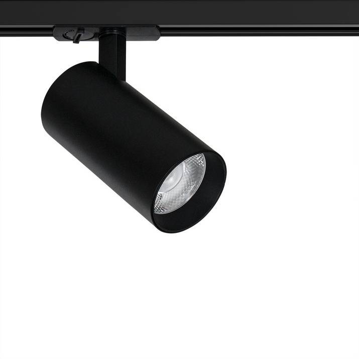 Светильник потолочный Arte Lamp Bene A1947PL-1BK