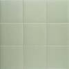 Керамогранит Mainzu Technical Soft Basil 20x20