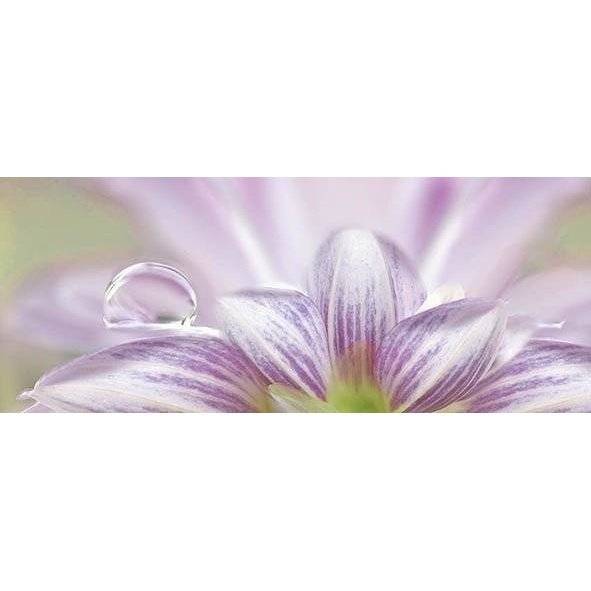 Декор Ceradim Lola КВС17Lola1 Dec 1 20x50