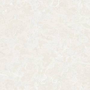 Обои Zambaiti Parati Philipp Plein 2 Z81006