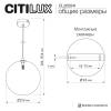 Люстра подвесная Citilux Orton CL202041 фото 10