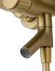 Смеситель для ванны Wonzon & Woghand WW-FE05L221-BG с душем, брашированное золото фото 4