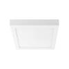 Настенно-потолочный светодиодный светильник Lightstar Zocco 324122