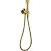 Гигиенический душ Allen Brau Priority 5.31A29-GB золотой, со смесителем, с внутренней частью