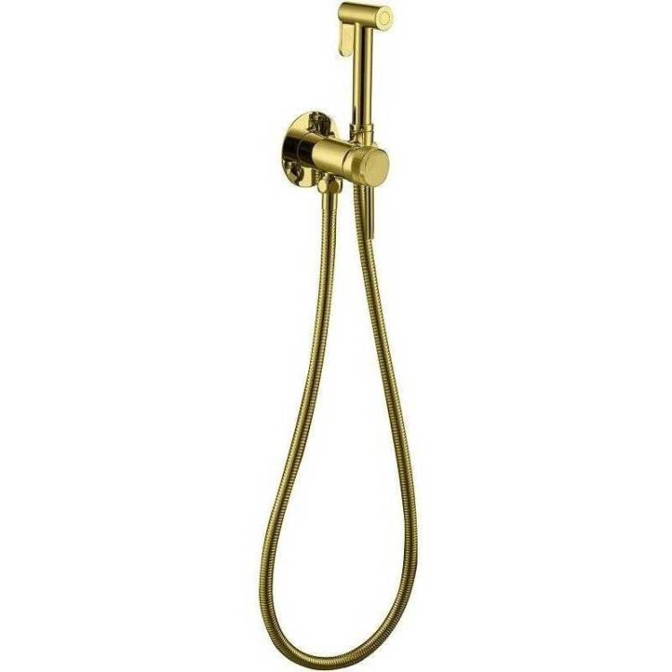 Гигиенический душ Allen Brau Priority 5.31A29-GB золотой, со смесителем, с внутренней частью