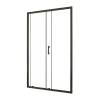 Душевая дверь в нишу Taliente TA-120-1CB профиль черный, стекло прозрачное, 120x195