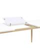 Стол обеденный Stool Group Стокгольм DT-1706-160 DUAL белый 160(220)x90x76 фото 7