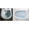 Унитаз-компакт Cerutti Spa Nivolet 8457 безободковый, с микролифтом фото 5