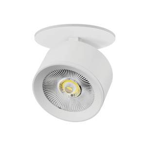 Встраиваемый светодиодный спот Lightstar Alta Pro A5536RS