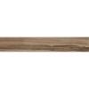Керамогранит Absolut Gres Woodstyle AB 1175W Dark Choco 20x120
