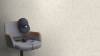 Обои флизелиновые Rasch Color Your Life 315738 фото 3