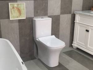 Унитаз-компакт Cerutti Spa VETTORE MW CT9240 напольный, матовый белый