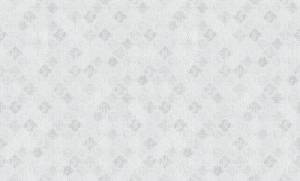 Обои флизелиновые Bruno Zoff Silver 60117-3