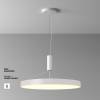 Потолочный светильник Technical Zon C032CL-90W3K-RD-W фото 4