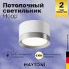 Потолочный светильник Technical Hoop C086CL-GX53-SRD-WS