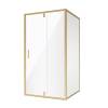 Душевой уголок Niagara Nova NG-43-11AG-A80G (110x80x190)