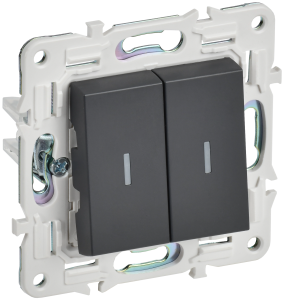 Выключатель 2-клавишный проходной IEK Skandy SK-V22-1-10-K48 титан