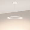 Подвесной светильник Arlight Congo 046231 фото 4