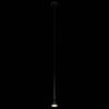 Подвесной светильник Loft It Pipe 10337/250 Black фото 3