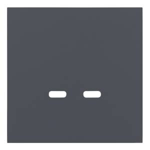 Лицевая панель для розетки USB C/C Rikett 35675 BT базальт