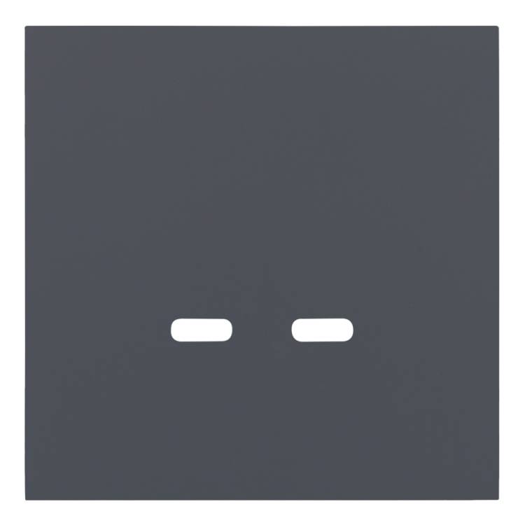 Лицевая панель для розетки USB C/C Rikett 35675 BT базальт