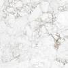 Керамогранит Absolut Gres Rossalia Natural AB1208G Gloss 600x600 фото 6