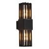 Уличный настенный светильник ST Luce Irum SL9018.401.02