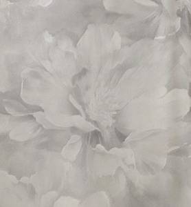 Обои Cassanie Felice DF20420