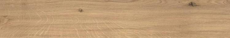 Керамогранит Atlas Concorde Log AX4H Icon Oak Forest Grip 20x120