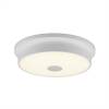Потолочный светильник Citilux Фостер-2 CL706220 фото 2